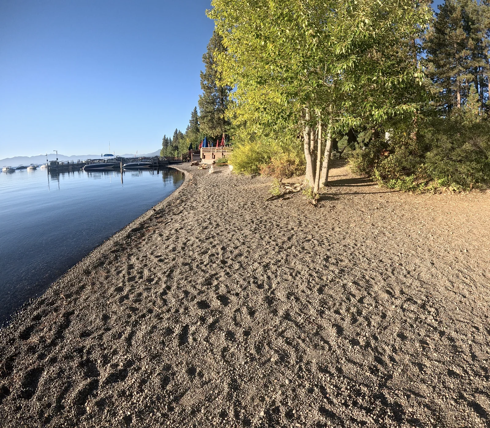 La orilla de Lake Tahoe, con el lago y la costa arbolada antes de las inmersiones